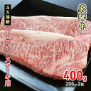 【ふるさと納税】牛肉 飛騨牛 サーロイン ステーキ 400g(1枚 約200g×2枚) 黒毛和牛 A5 美味しい お肉 牛 肉 和牛 サーロインステーキ 【岐阜県美濃市】　【 牛肉 サーロイン 肉 ステーキ BBQ ギフト 贈答 】