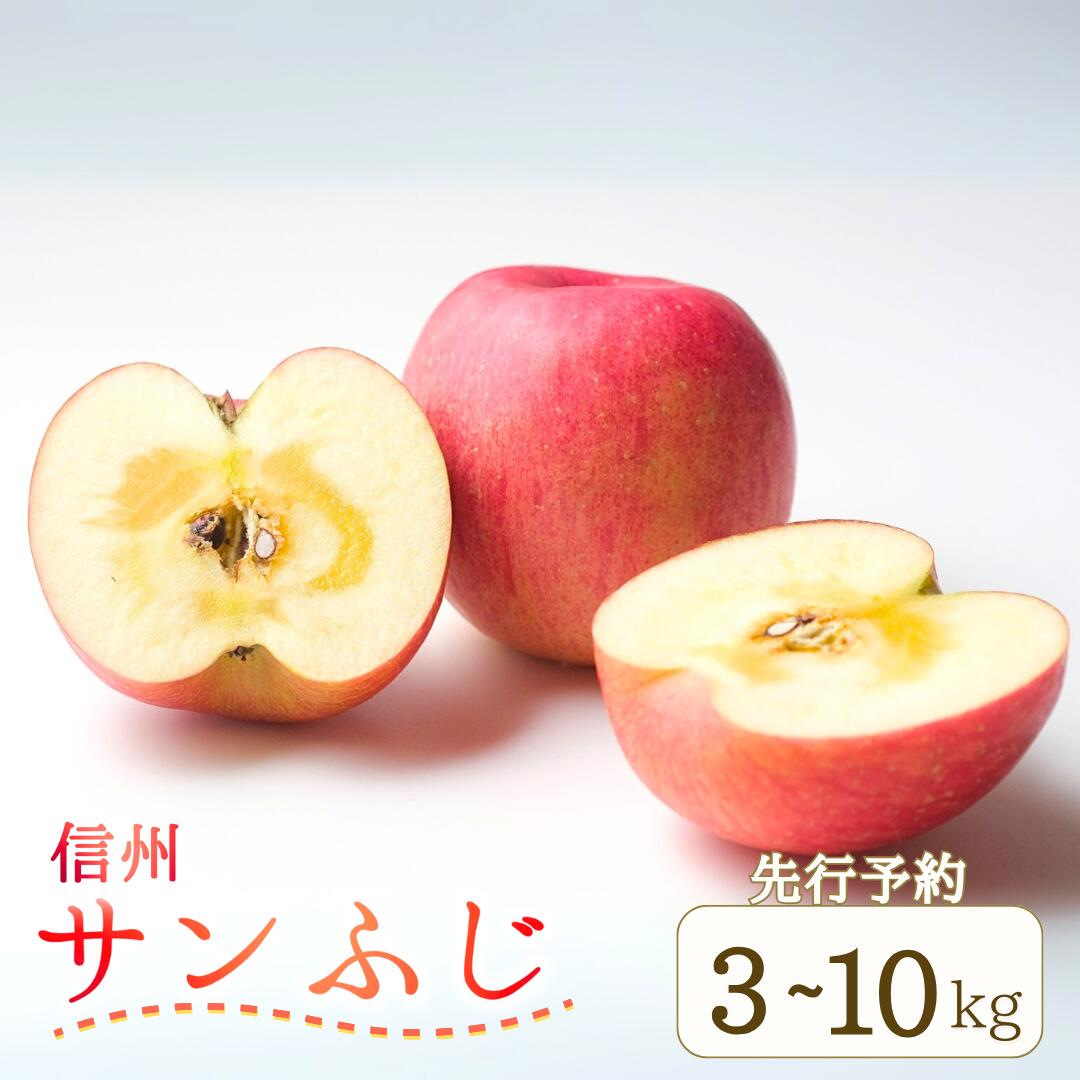 【ふるさと納税】【2025年先行予約】りんご サンふじ 約3kg~10kg (6~36玉) 果物 フルーツ 長野県産 千曲市 信州 特産品