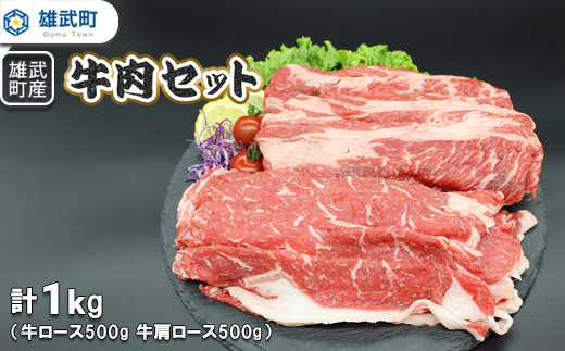 雄武産牛肉セット(冷凍)牛ローススライス500g牛肩ローススライス500g【0911801】