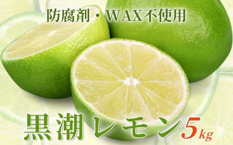 
            ＜9月より発送＞レモン5kg+250g（傷み補償分）【和歌山有田産】【防腐剤・WAX不使用、安心の国産レモン】【ikd180A】
          