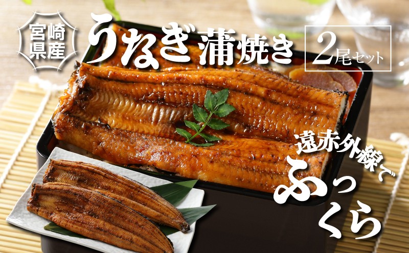 
                  宮崎県産うなぎ蒲焼きセット 尾数選べる 2尾 - 鰻 ウナギ 国産うなぎ 国内産 うなぎの蒲焼き 自慢のたれ付き ひつまぶし うな丼 うな重 鰻重 鰻丼 鰻巻き ご飯 惣菜 瞬間冷凍 K10_0007_3 
                