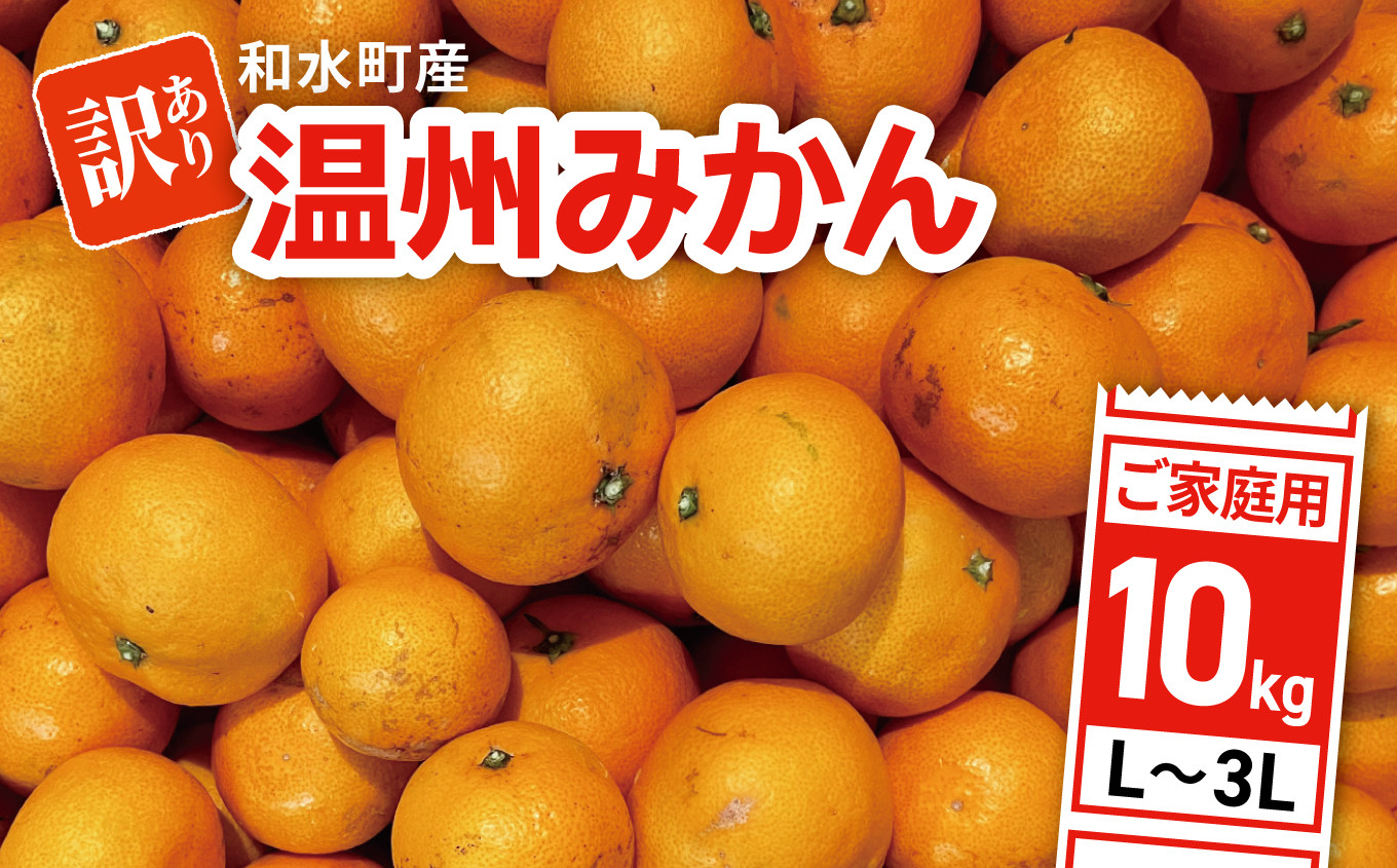 
            【訳あり】L～3L 温州みかん 和水町産 ご家庭用 10kg | みかん ミカン 早生 温州 大小混合 柑橘 柑橘類 フルーツ 果物 家庭用 熊本 和水
          