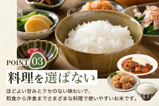 【3回定期便】【ふるさと納税】ひのひかり 米 お米 玄米 20kg 20キロ 福岡県産 うきは市 国産 精米 ご飯 ごはん おにぎり お弁当 人気 おすすめ 家庭用 送料無料 新米 ストック 厳選 農