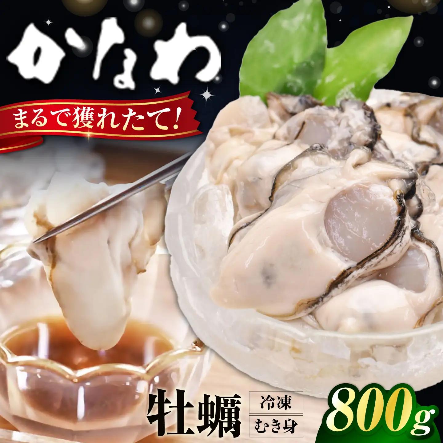 冷凍牡蠣むき身800g 牡蠣[XBP054]