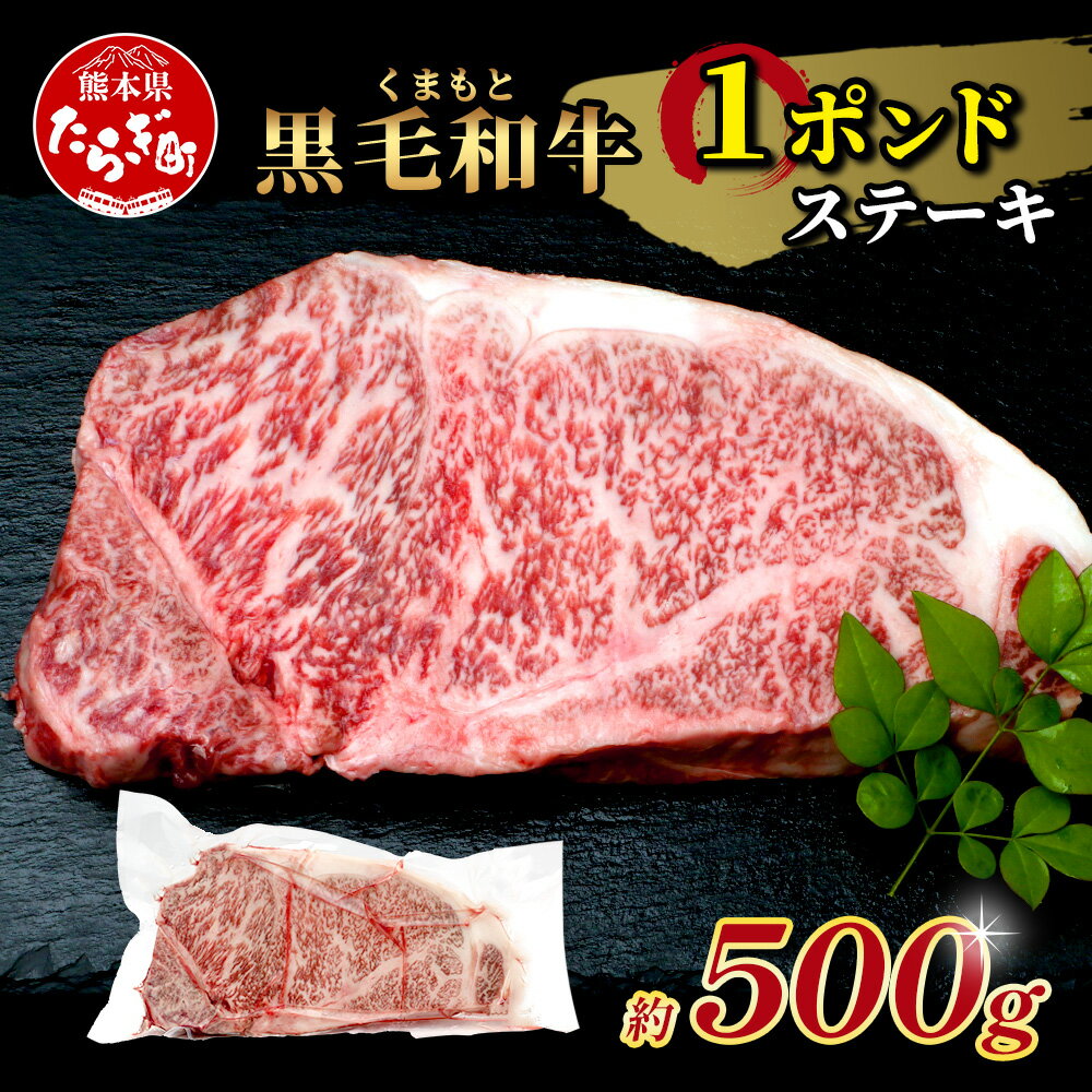 【ふるさと納税】【訳あり】くまもと黒毛和牛 《 1ポンド ステーキ 約500g 》 黒毛 和牛 赤身 霜降りブランド牛 ボリューム ステーキ お取り寄せ グルメ 上質 常備 冷凍 熊本県 ブランド牛 やき肉 お肉 送料無料