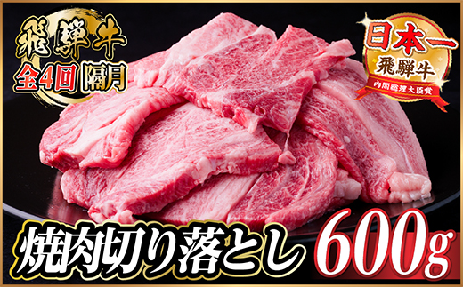 【2ヵ月毎定期便】飛騨牛 焼肉切り落とし 約600g(約300g×2)タレ付き 訳あり全4回【配送不可地域：離島】【4084210】