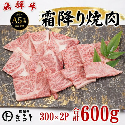 【ふるさと納税】飛騨牛霜降り焼き肉 300g×2(合計600g)【配送不可地域：離島】【1735699】