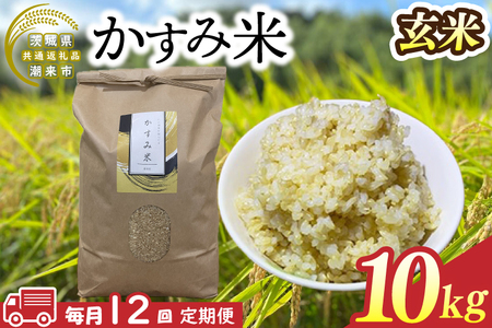 【先行予約】【2026年9月末より順次発送】【茨城県共通返礼品/潮来市】【12ヶ月定期便】栽培期間中出来るだけ農薬を減らしたかすみ米 10kg(玄米)　茨城県潮来市産