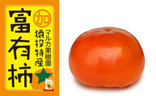 ＜先行受付＞富有柿　約4kg【2026年11月上旬以降順次発送】| 柿 果物 フルーツ 先行予約  富有柿 マルカ果樹園 愛知県 豊田市