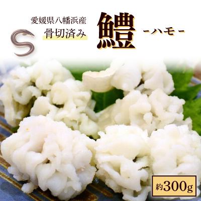 ふるさと納税 八幡浜市 鱧(ハモ)(骨切済み)【C26-3】