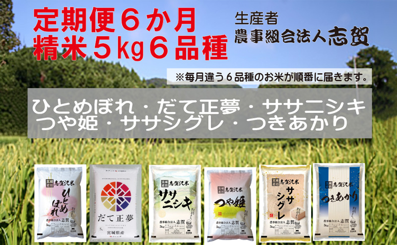 【令和7年産新米】米 定期便 6ヶ月 食べ比べセット 5kg 志賀沢米 岩沼産 ひとめぼれ だて正夢 ササニシキ つや姫 ササシグレ つきあかり お米 白米 精米 ブランド米 5キロ ご飯 ライス 宮城県 岩沼市