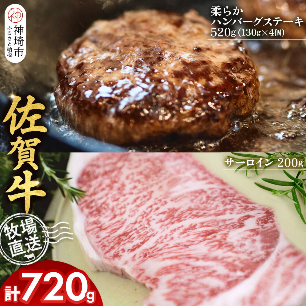 【ふるさと納税】佐賀牛 サーロインステーキ200g×1枚計200g 柔らかハンバーグステーキ130g×4個計520g【佐賀牛 サーロイン ステーキ ハンバーグ 高級部位 赤身肉 霜降り】(H122129)