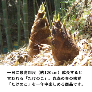 たけのこごはんの素3合×6個セット【08106】