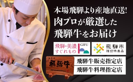 贅沢飛騨牛グルメ　飛騨牛ビーフカレー＆飛騨牛しぐれ煮セットＢ[C0010]