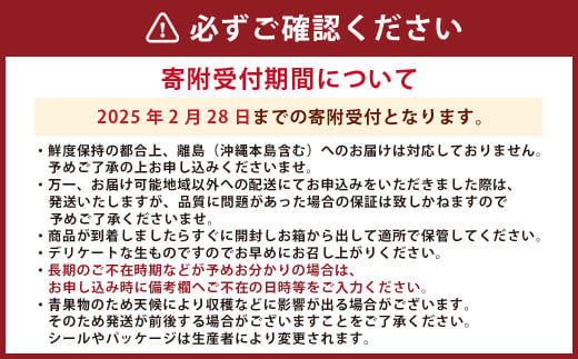 熊本県産 高級 塩トマト 「綾」 1キロ前後 野菜 とまと 【2025年1月下旬発送開始】