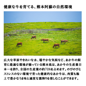 【三協畜産】熊本和牛 あか牛100% 牛肉 ハンバーグ 120g 6個 計720g あか牛 熊本県産 肥育 加工品 阿蘇 熊本 褐毛和種 褐牛 和牛 惣菜 おかず ご飯のお供 熊本名物 ご家庭用 ギフ