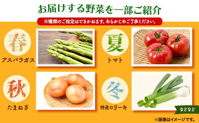 【3ヶ月定期便】旬の新鮮野菜とお米詰め合わせセット 青空市きらり 《お申込み月の翌月から出荷開始》 矢掛町 野菜 米 トマト ---osy_cakrystei_24_46000_mo3num_s---