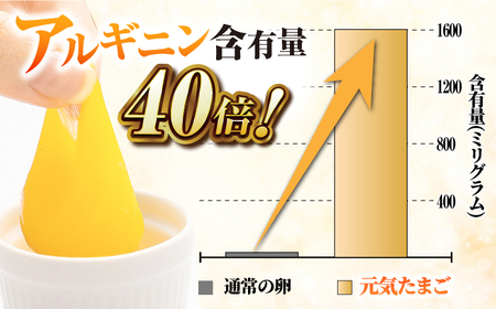 【全3回定期便】 アルギニン 元気たまご 20個 自然栽培 平飼い【浅田峠自然塾】 卵 20個 たまご 鶏卵 玉子 国産 卵かけご飯 たまごかけご飯 すき焼き 目玉焼き [EA02] げんきたまご た