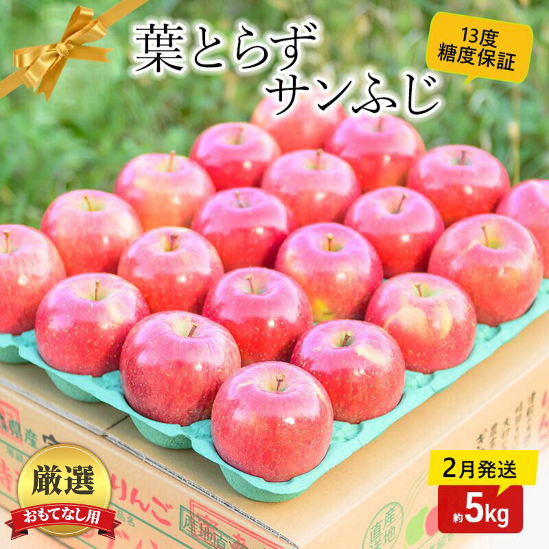【ふるさと納税】【 2月発送 】 糖度13度以上 おもてなし用 家庭用 葉とらず サンふじ 約 5kg 【 青森りんご 】 果物 フルーツ デザート 食後 青森県産 産地直送　お届け：2026年2月20日頃～2026年2月28日