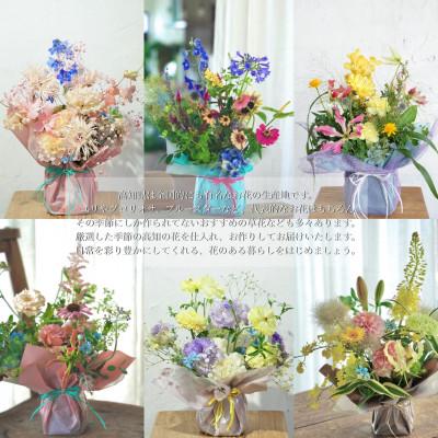 ふるさと納税 芸西村 【毎月定期便】芸西村産季節の生花アレンジ　アレンジメントM【t162tmf】全12回 |  | 01