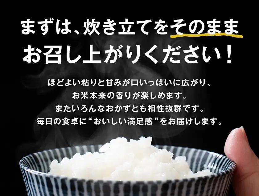 新米 令和8年産 超早期米 コシヒカリ こしひかり 10kg 田嶋ファーム《8月中旬-9月中旬出荷予定》