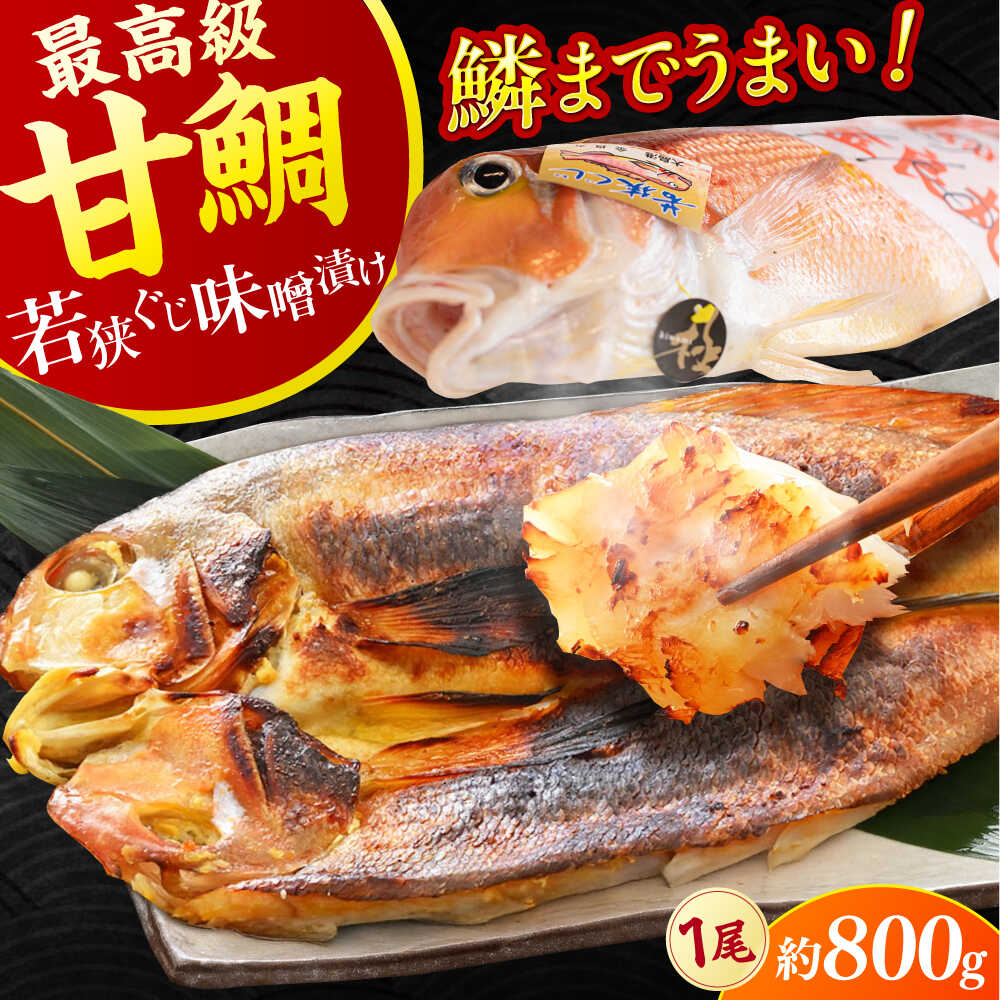 【ふるさと納税】若狭ぐじ 味噌漬け開き 1尾 800g / 甘鯛 タイ アカアマダイ ぐじ 特大 高級 焼き魚 味噌 おつまみ おかず 贈答 ギフト 冷凍 / 小浜市 / 加福鮮魚 【配送不可地域：北海道・沖縄・離島】 [BFBC002]