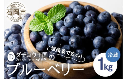 【 2025年 先行予約 】 フレッシュ ブルーベリー 1kg ダチョウ王国産 ( 500g 2パック ) 生 品種 お任せ 新鮮 完熟 冷蔵 農薬 栽培期間中 不使用 1キロ 果物 フルーツ 国産 産地直送 農家直送 産直 夏 6月 7月 8月 発送 くだもの 茨城 茨城県 石岡市 (C05-001)