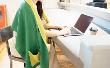 ストール CLEMATIS リバーシブル和紙ストール ( たたきポケット・グリーン ) レディース | 大判 ストール リバーシブル 和紙 おしゃれ シンプル マフラー 春夏 春 夏 新潟県 五泉市 