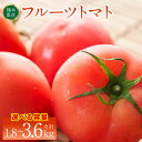 【ふるさと納税】【先行予約】【選べる内容量】熊本県産 フルーツトマト 約1.8kg～3.6kg とまと トマト 甘い サラダ 国産 熊本県八代市産 【2024年12月上旬より順次発送】