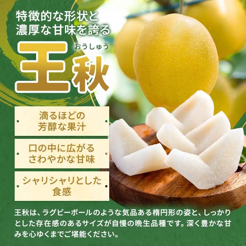 芳賀町産 梨 王秋 約5kg 6～9玉 手塚農園