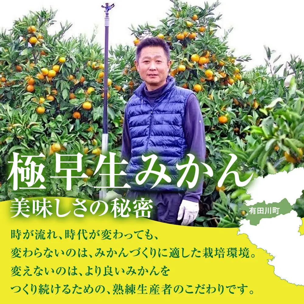 有田みかん専門店 有田の太陽®ファミリー 極早生 有田みかん 2.5kg＋補償分100g 山採れ・サイズ・等級 混合