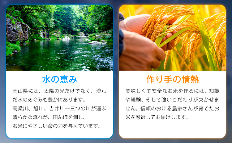【隔月定期便 計6回】応援米 星ふる米 無洗米 20kg 岡山県産《申し込み翌月から発送》ふるさと 岡山 岡山県 浅口市 米 送料無料 ブレンド米 おにぎり米 コメ お米---124_3944tei_