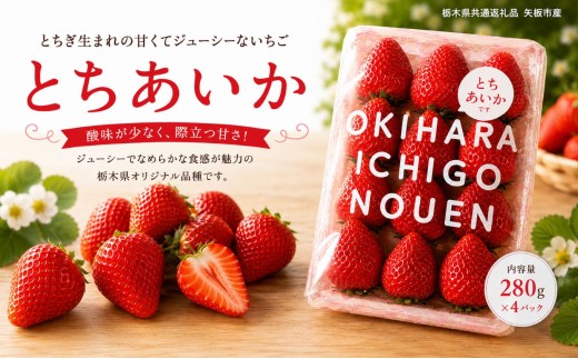 【先行予約】いちご とちあいか 1120g (280g×4P)｜いちご 苺 ichigo 女峰 ミルキーベリー とちひめ とちあいか とちおとめ やよいひめ 粒 栃木県 那珂川町 送料無料【栃木県共通返礼品】