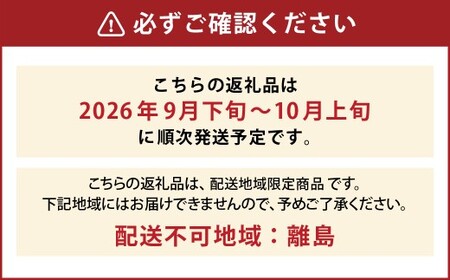 たっぷり日光を浴びたみずみずしい種無しぶどう3種セット ( シャインマスカット ＋ 旬なぶどう ) 約4kg 産地直送 フルーツ マスカット 果物 高級 ぶどう【2026年9月下旬-10月上旬順次発送