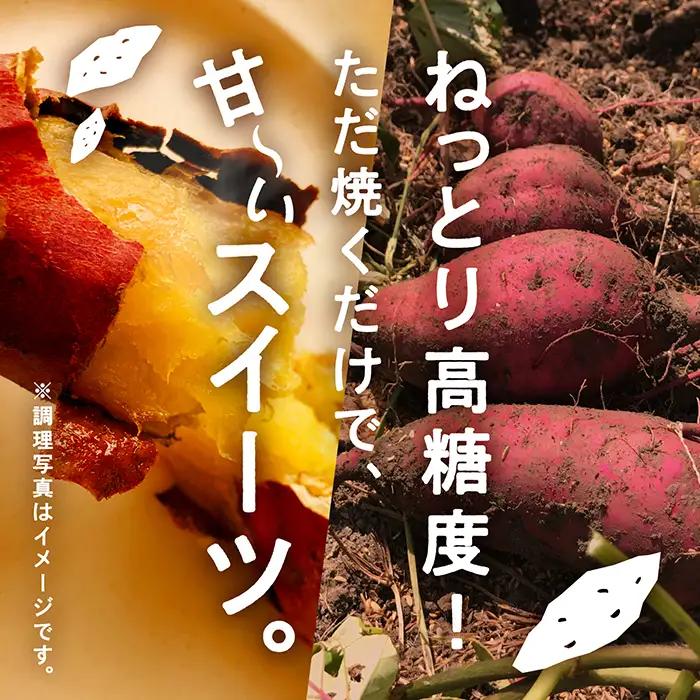 【先行予約】紅はるか 5kg ねっとり甘～い おいもさん 【農薬・化学肥料不使用】