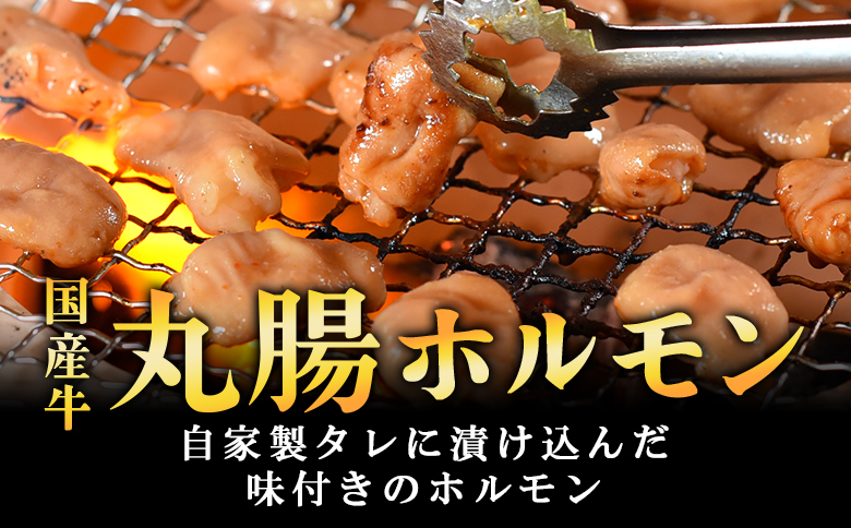 ＜【訳あり】国産牛ホルモン丸腸（特製タレ漬け）約1.6kg＞(計1.6kg・400g×4P)丸腸を秘伝の特製タレに漬け込みました！【MI023-nk-x1】【中村食肉】