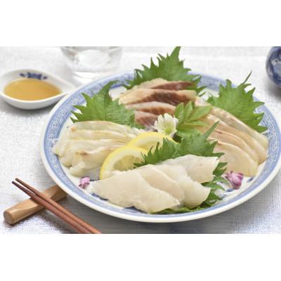 ふるさと納税 佐世保市 天然クエ刺しと魚介極め盛り