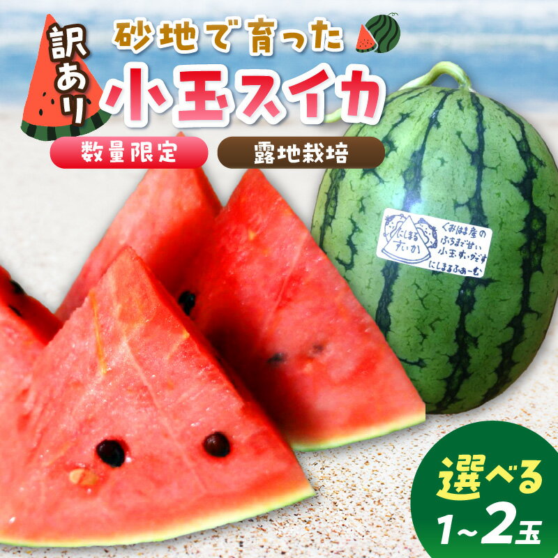 【ふるさと納税】【先行予約／数量限定100】にしまるスイカ 訳あり （露地栽培）（2025年7月中旬から発送）1玉 2玉 選べる フルーツ 果物 数量限定 にしまる 小玉 甘い ジューシー 京都 ふるさと納税 すいか