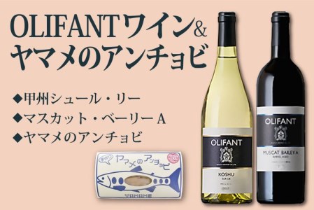 笹一酒造OLIFANTワイン750ml 2種類&こすげ村源流工房ヤマメのアンチョビ1パックセット【017-003】｜国産ワイン 赤ワイン 白ワイン 飲みくらべ セット おつまみ ヤマメ ※離島への配送不可 ※着日指定不可