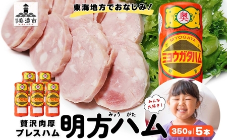 明方ハム プレスハム 豚肉 国産 明方ハム【5本】