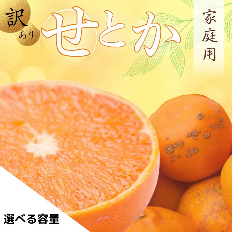 【ふるさと納税】＜2月より発送＞家庭用 せとか 選べる容量 1kg 2.5kg 5kg 7.5kg 10kg【柑橘・春みかんの王様】【わけあり・訳あり】【光センサー選果・食べ頃出荷】/ みかん 果物 柑橘 フルーツ 和歌山 有田みかん セトカ