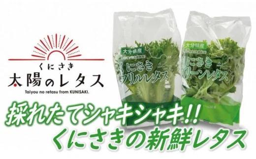 採れたてシャキシャキ!!くにさき太陽のレタス12袋詰合せ（1183R）