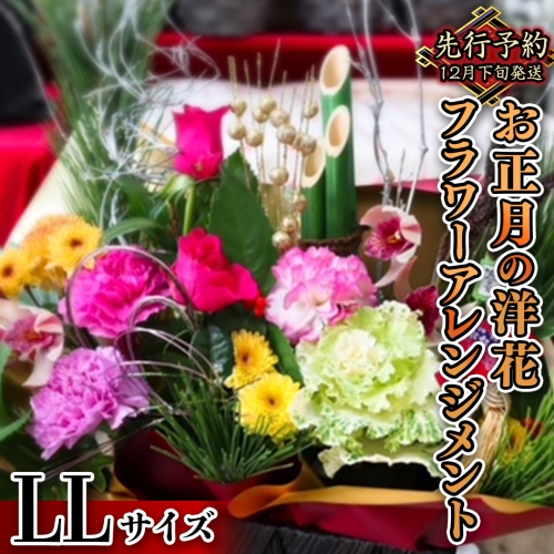 【 お正月 の お花 】 洋花 ＊ フラワー アレンジメント LL お正月 花 生花 縁起物 フラワーアレンジメント ギフト [CT054ci]