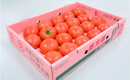 久万高原トマト 4kg 朝露に輝く 清流育ち【桃太郎トマト】久万高原町｜特別栽培 エコえひめの認証 トマト とまと トマト産地 産地直送 ソース ジュース 自然栽培 野菜 安心 安全 旬 贅沢 酸味 