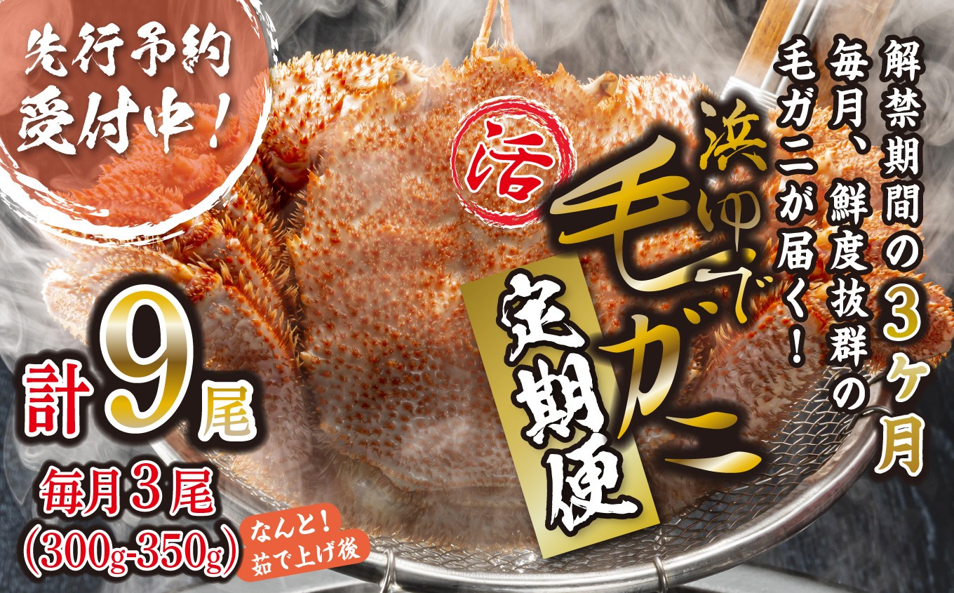
                  ＜ 2027年2月上旬より発送開始 ＞ 【 定期便  全 3回 】 北海道産 浜ゆで 毛ガニ 3尾 × 3回 （ 計 9尾 ） 毛蟹 毛がに かに味噌 カニ味噌 新鮮 旬 ボイル 浜茹で 海鮮 海産物 冷蔵便 ＜ 予約受付 ＞
                