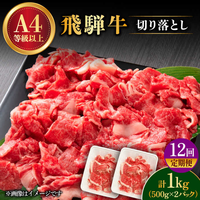 【ふるさと納税】【 12回 定期便 】【 飛騨牛 】 切り落とし 1kg × 12回 ( 計 12kg ) 和牛 ブランド牛 国産 多治見市/肉の丸長 [TAZ017]