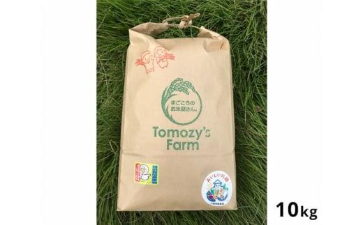 特別栽培米　川越産彩のきずな10kg ／ お米 精米 白米 埼玉県