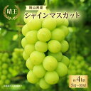 【ふるさと納税】ぶどう 2024年 先行予約 シャイン マスカット 晴王 5房～10房 約4kg 8月下旬～10月下旬発送 ブドウ 葡萄 岡山県産 国産 フルーツ 果物 ギフト　里庄町　お届け：2024年8月下旬～2024年12月下旬