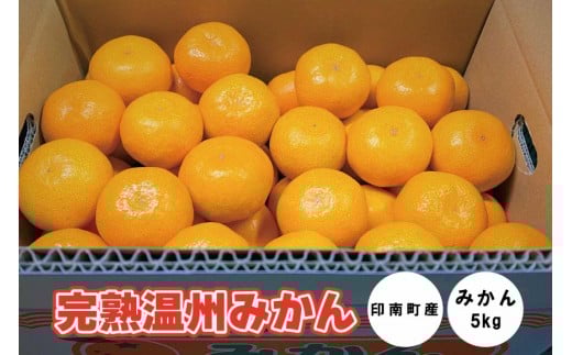 
            地元印南町産『完熟温州みかん』約5kg（S～Lサイズ）
          