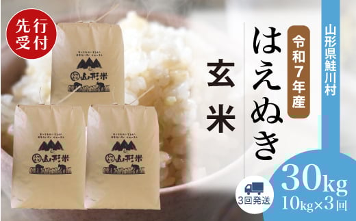 ＜令和7年産米先行受付＞ 鮭川村 はえぬき 【玄米】 30kg定期便 （10kg×3回発送）＜配送時期選べます＞